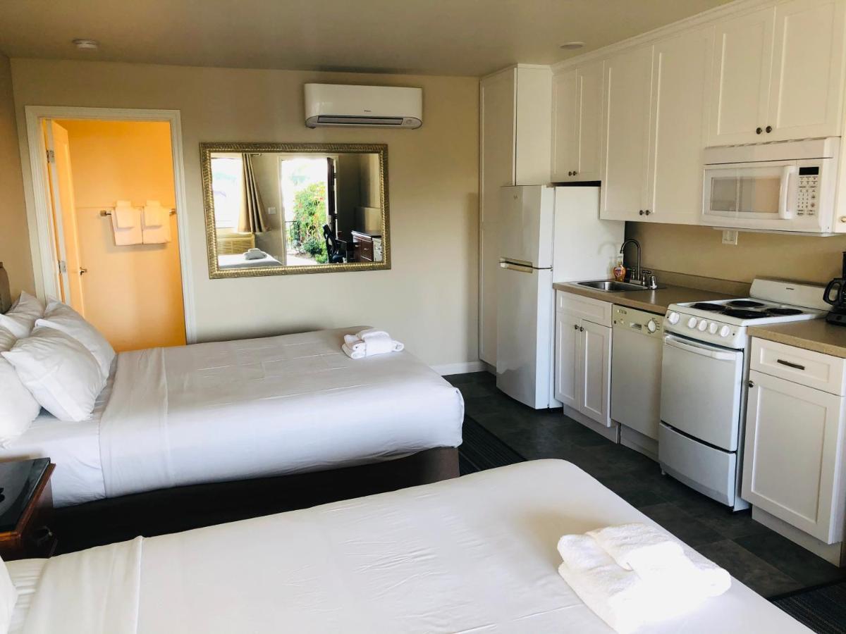 Moonlight Beach Motel Encinitas Eksteriør billede