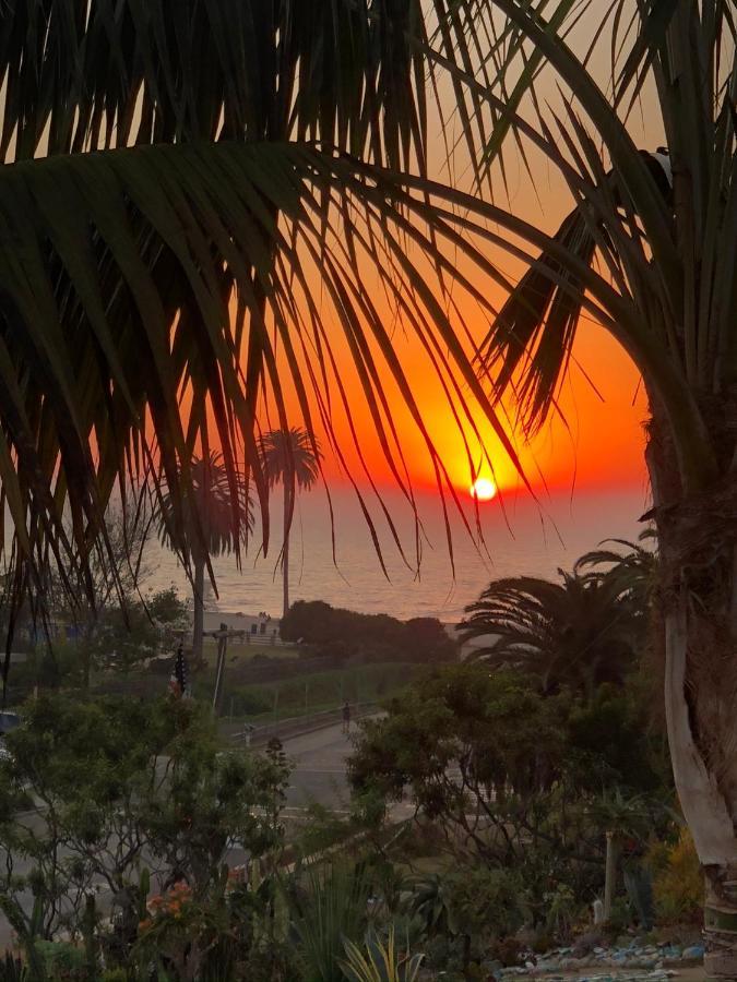 Moonlight Beach Motel Encinitas Eksteriør billede